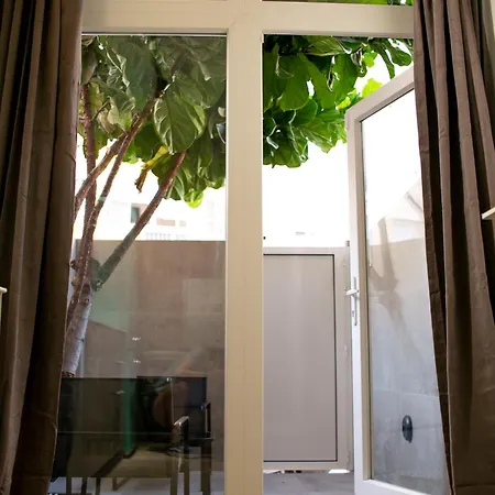 Casa Lyrata Comfort & Design Apartamento