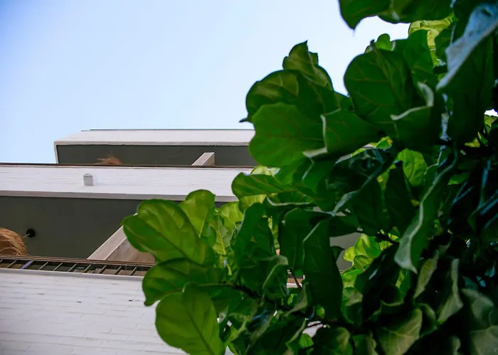 Casa Lyrata Comfort & Design