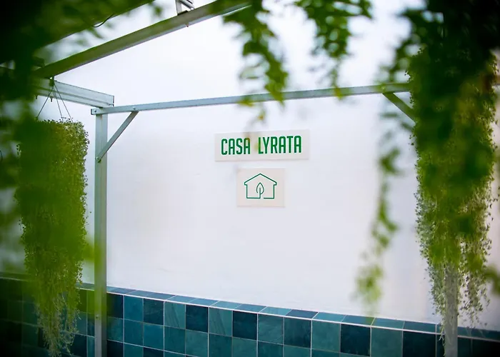 Casa Lyrata Comfort & Design مالقة
