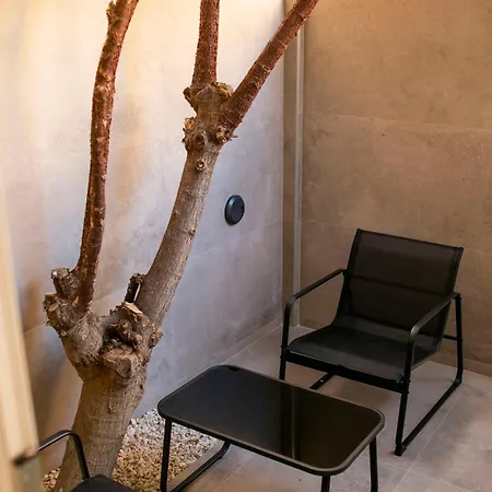 Casa Lyrata Comfort & Design Málaga